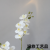 Artificial Butterfly orchid suit