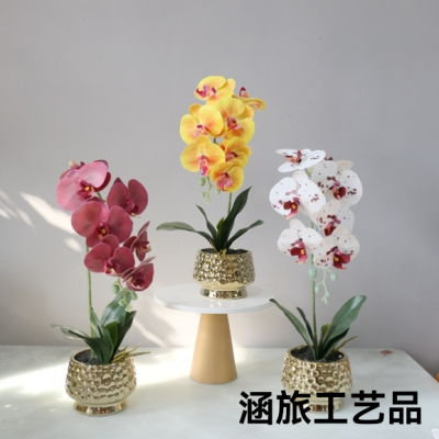 Gold-plated artificial butterfly orchid suit