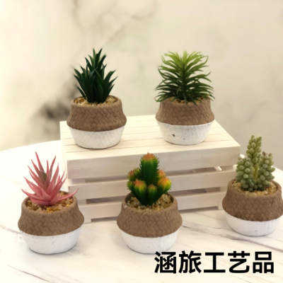 Artificial succulent pant bonsai