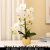 Artificial flowers phalaenopsis suit flower pot with gold