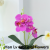 Potted artificial flowers, artificial phalaenopsis flower strap pots together, one carton can mix colors