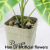 Artificial flowers bonsai fake flower pot with flowerpot