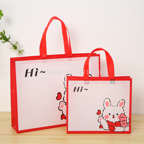 新款时尚无纺布手提袋覆膜服装店购物袋男女衣服鞋店袋子定制logo