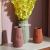 Nordic Minimalist Morandi Ceramic Vase Model Room Living Room Crafts Decorative Flower Vase Table Top Entrance Decoration
