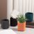 Macaron Ceramic Small Flower Pot Modern Simple Artistic Style Round Square Succulent Ceramic Basin Desktop Green Plant Flower Ware