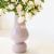Creative Ceramic Vase Household Living Room and Hotel Flower Arrangement Soft Decoration Art Decoration Foreign Trade Amazon Color Hydroponic