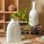 Minimalist Japanese Style Plain Burning Ceramic Vase Home Decoration B & B Retro Pottery Decoration Silent Dried Flower Arrangement in Vase H