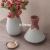 Nordic Creative Art Morandi Ceramic Vase Dining Table Flower Table Tea Table Hydroponic Model Room Living Room Hallway Ornaments