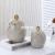 Simple Nordic Ins Ceramic Vase Modern Electroplating Decoration Creative and Slightly Luxury Crafts Living Room Flower Arrangement Vase Home