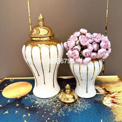 Ceramic Light Luxury Electroplating Temple Jar European Flower Vase Crafts Decoration Hallway Soft Outfit Decorative Storage Jar