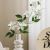 Ceramic Flower Vase and Flower Pot Hydroponic Nordic Modern Creative Black Home Living Room Dining Room Dried Flower Flower Arrangement Decorative Ornament