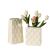 Cream Style Elegant Affordable Luxury Style Ceramic Large Vase Living Room Dining Room Hydroponic Flower Arrangement Vase Home Decoration Ornaments
