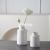 Cross-Border Creative Plain Burning Striped Brushed White Ceramic Vase Dried Flower and Flowerpot Domestic Ornaments HTTP