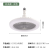 Led Aromatherapy Fan Lamp Bedroom Lamp in the Living Room Shaking Head Remote Control Invisible Fan Lamp Chandelier