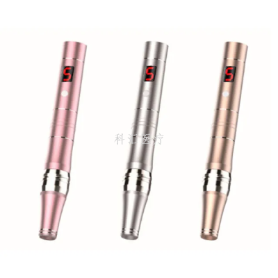 CHESINDO 2022 New Arrival Rechargeable Cartridge Stainless Steel Microneedle 12 Pins 24 Pins Electric Derma PenElectric microneedle Photon skin rejuvenation middle germ layer dermapen power import shallow guide instrument household
