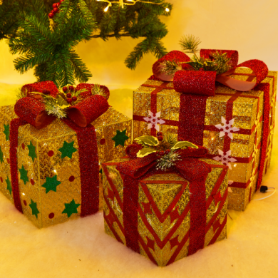 Product Image Gallery