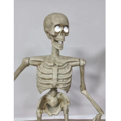 Factory Direct Supply Halloween Skull Skeleton Horror Skull Bone Haunted House Yard Layout Plastic Props