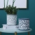 Nordic Style Morandi Cement Flower Pot Succulents Potted Gardening Modern Minimalist Flower Pot