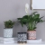 Nordic Style Morandi Cement Flower Pot Succulents Potted Gardening Modern Minimalist Flower Pot