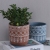 Cement Flower Pot Nordic Style Special Simple Creative Small Pot Plant Green Plant Green Dill Flowerpot More Meat Medium Caliber Wholesale
