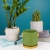 Cement Flower Pot with Tray Nordic Modern Minimalist Creative Home Balcony Desktop Floor Bonsai Ornaments