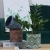 Nordic Cement Flower Pot Creative Domestic Furniture Indoor Decorations Cactus Succulent Potted Gardening
