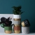 Nordic Style Morandi Geometric Water Flowerpot Minimalist Creative Potted Flowerpot Green Radish Succulent Plant
