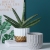 Nordic Style Morandi Geometric Water Flowerpot Minimalist Creative Potted Flowerpot Green Radish Succulent Plant