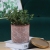 Nordic Simple Cement Flower Pot Creative Geometric Full Grid round Home Gardening Small Pot Plant Green Plant Succulent Flower Pot