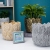 Nordic Modern Cement Succulents Flowerpot Simple Personality Balcony Creative Desktop Indoor and Outdoor Flower Ware