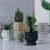 Nordic Style Cement Flower Pot Face Abstract Trophy Shape Minimalist Creative Small Pot Plant Green Plant Green Radish Gardening