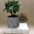 Nordic Style Ins Artistic Living Room Balcony Creative Indoor Decoration Plant Cement Potted Flower Pot