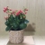 Nordic Style Ins Artistic Living Room Balcony Creative Indoor Decoration Plant Cement Potted Flower Pot