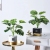 Nordic Ins Creative Plant Decorative Small Pot Living Room Decoration Home Furnishings Indoor Greenery Pots