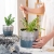 Nordic Simple Ins Style Ceramic Flower Pot Set Electroplating Flower Pot Creative Home Greenery Flowerpot Decoration