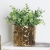 Nordic Plated Gold Ceramic Flower Pot Minimalist Creative Model Room Flowerpot Decoration Living Room Home Decoration