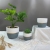 Nordic Simple Ins Golden Edge Flower Pot Set Personalized Creative Household Flower Pot Indoor Greenery