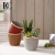 Nordic Cement Flower Pot Ceramic Christmas Fashion Simple Artistic Personality Indoor Amazon Green Radish Bonsai