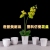 Melamine Dinnerware Flowerpot Amazon E-Commerce Thickened Drop-Resistant Simple Home Living Room Desktop Plastic Green Plant Succulents