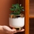 Nordic Personality Affordable Luxury Electroplated Golden Flower Pot Indoor Desktop Green Plant Artificial Flower Ceramic Flowerpot Decoration Flower Arrangement