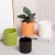 Modern Nordic Macaron Color Series Glost Firing Ceramic Flower Pot Simple Desktop Succulent Golden Flower Pot Green Plant Flower Arrangement