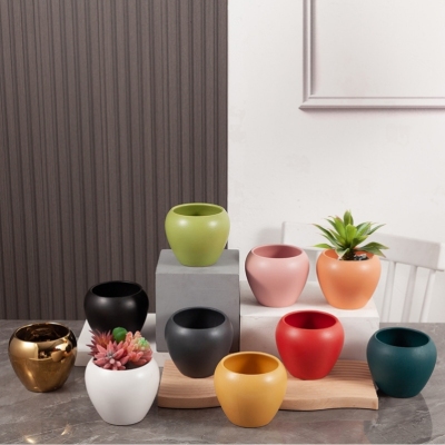 Succulent Ceramic Flower Pot Wholesale Morandi Nordic Creative Ins Apple Flower Pot Ceramic Container Cactus Green Plant