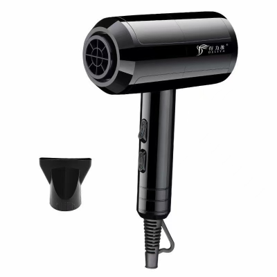 Cross-Border High-Power Mute Quick-Drying High-Speed Constant Temperature Anion Hair Care T-Shaped Electric Hair Dryer