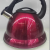 Stainless Steel Color Sound Kettle Hemispherical Whistle Induction Cooker Gas Stove Kettle