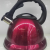 Stainless Steel Color Sound Kettle Hemispherical Whistle Induction Cooker Gas Stove Kettle