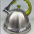 3.5 L Spray Color Handle Stainless Steel Whistle Kettle European New Style Sound Whistle Kettle Kitchen Water Pot