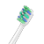 Neutral Universal Sonic Electric Toothbrush Head Adapted to Feili P-HX3/6/9 DuPont Hair Replaceable Toothbrush Head Toothbrush Head Customization