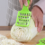 Cut Cabbage Stuffing Grater Household Quick Dumpling Stuffing Grater Manual Chinese Cabbage Power Strip Vegetables Cutter