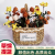 Hot Sale Straw Cabas Crafts Straw Willow Flower Basket Wedding Flower Arrangement Basket Succulent Pnt Flower Basket Decoration