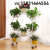 Flower Stand Iron with Wheels Floor Type Scindapsus Basin Frame Living Room Balcony Flower Rack Multi-Layer Indoor Special Offer Space Saving